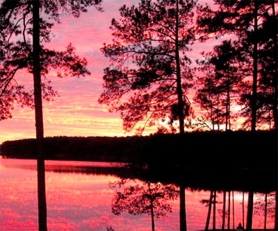 Register for a 2013 Diamonds on the Lake Art Retreat August 8-11, 2013 (Remaining Balance)
